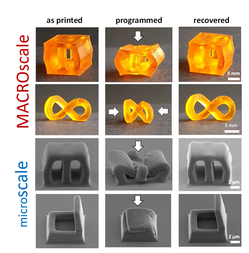 Interested in printing shape memory polymers not only at the macroscale but also at the microscale with a <a href="/NanoscribeGmbH/">Nanoscribe</a> 3D laser printer? Check out our recent publication using a very simple ink!  onlinelibrary.wiley.com/doi/epdf/10.10… <a href="/Cluster3DMM2O/">3D Matter Made to Order</a> <a href="/UniHeidelberg/">Uni Heidelberg</a>