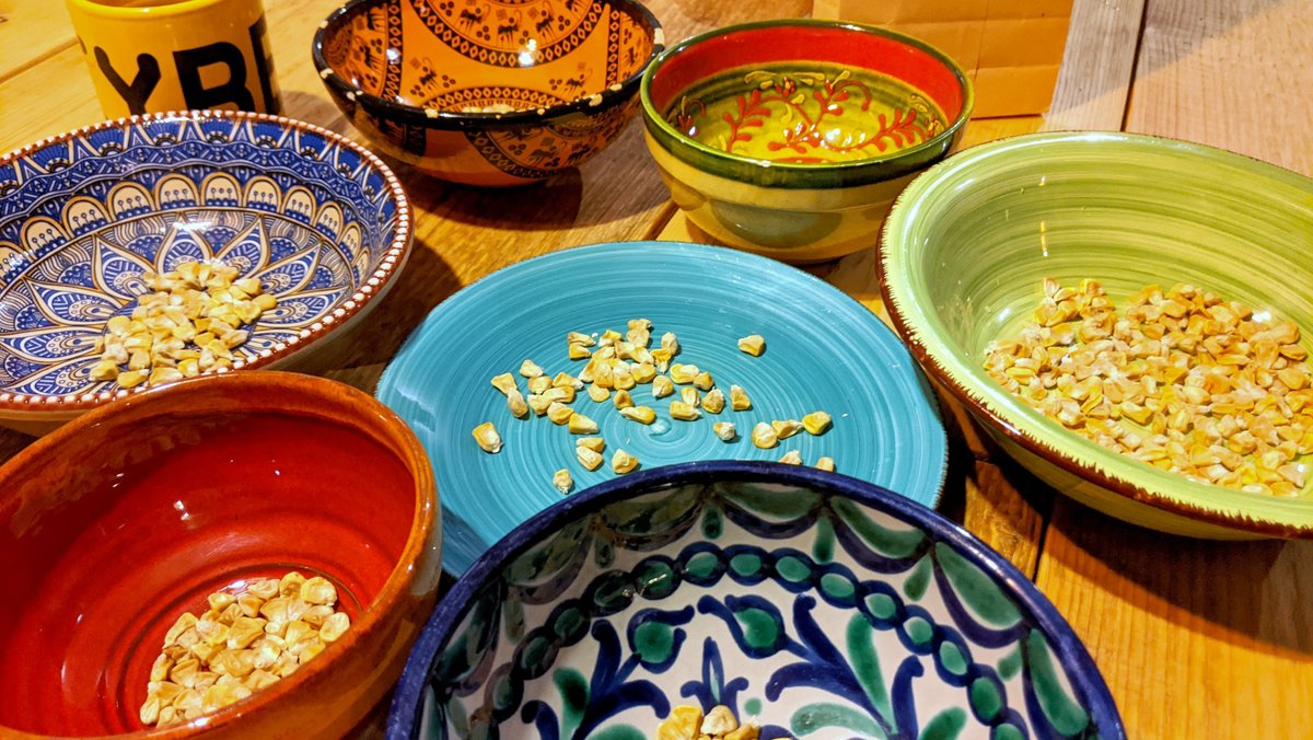 opensrcgardens's tweet image. Soon we are spreading another round of #OpenSourceSeeds with our #ConnectingGardens initiative. 

If you like this initiative please help to spread the word by translating our order-page into your mother tongue beforehand: opensourcegardens.info/order-seeds.en…