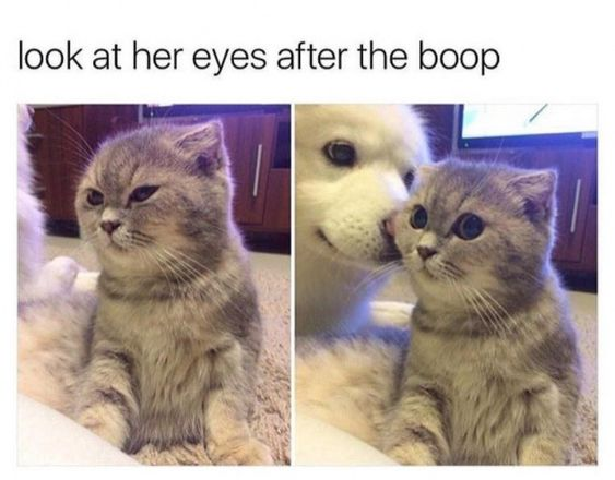 ZOO_FESS's tweet photo. zoo look at this cutie https://t.co/gHMFr80EhQ