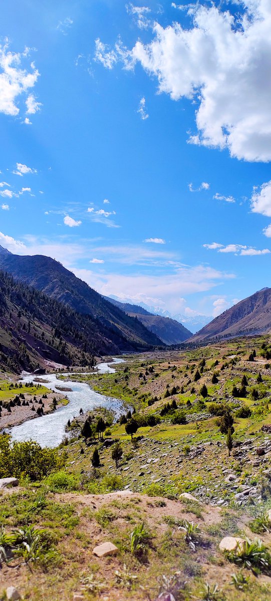 Somewhere near the Chilam Chowki astore GB pakistan
#Pakistan #BeautifulPakistan 
#nature  #IncrediblePakistan