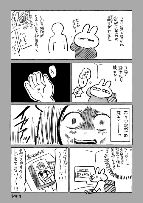 今日の日記です 