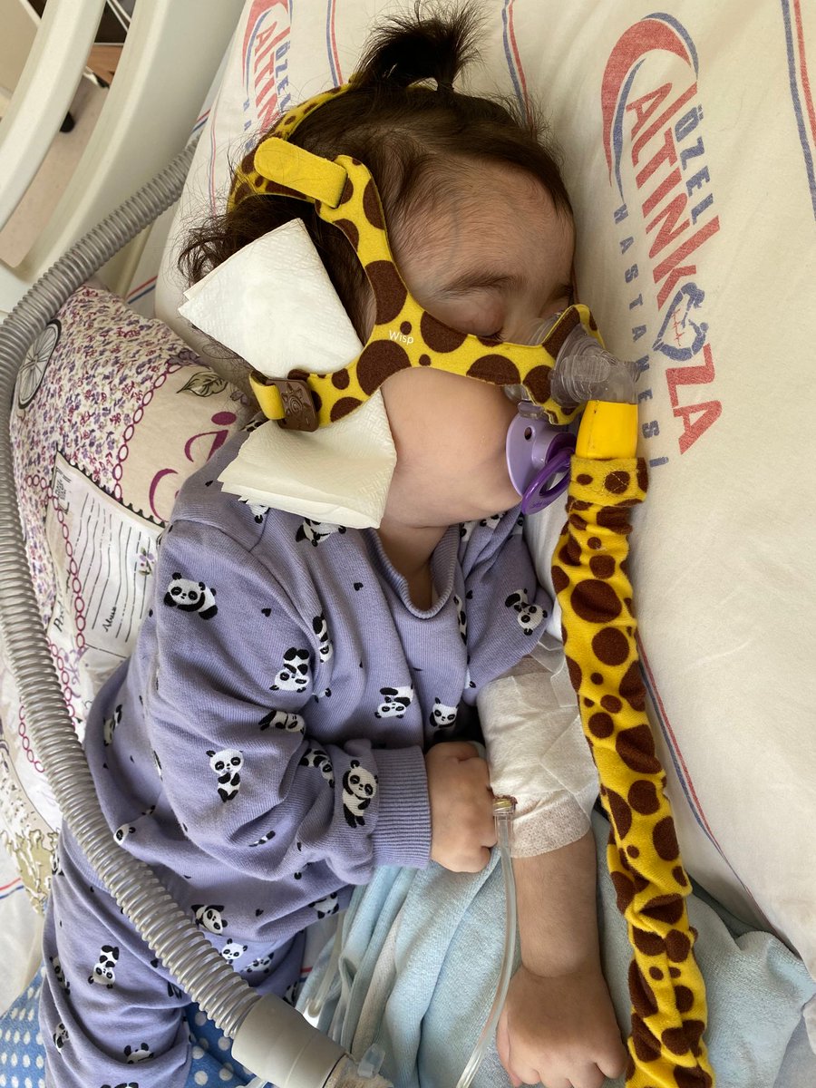 1 Euro 1 İnsan tweet media