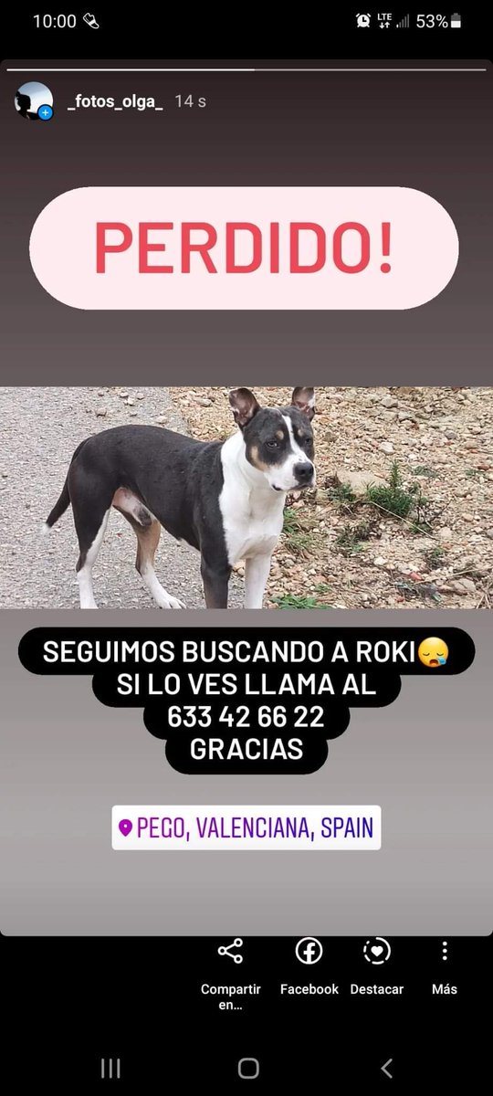 La familia lo buscan desesperados, se perdió en Pego ( Alicante).

Porfa difundir 🙏