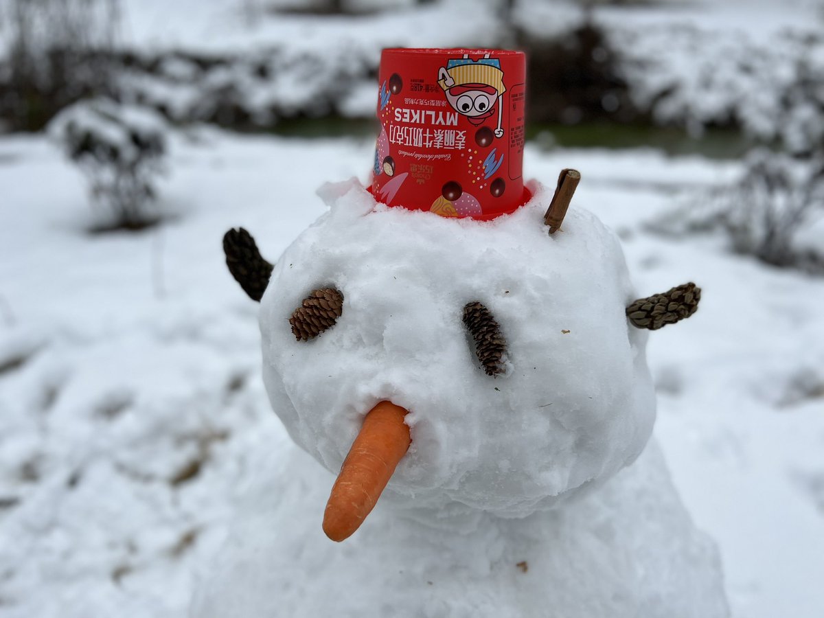 CathayanC's tweet image. 瑞雪兆丰年❄️⛄️