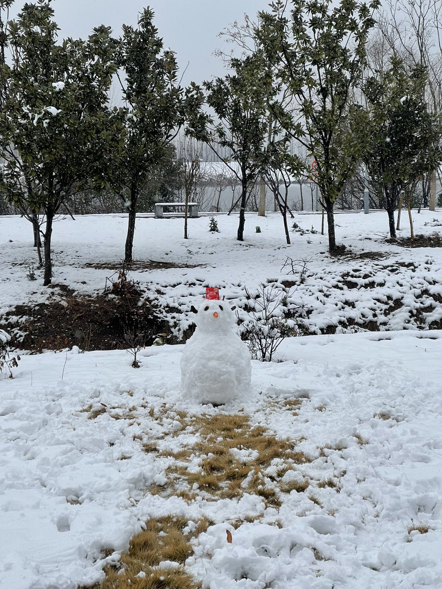 CathayanC's tweet image. 瑞雪兆丰年❄️⛄️