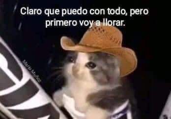 Carkdn's tweet image. Ánimo 🤘