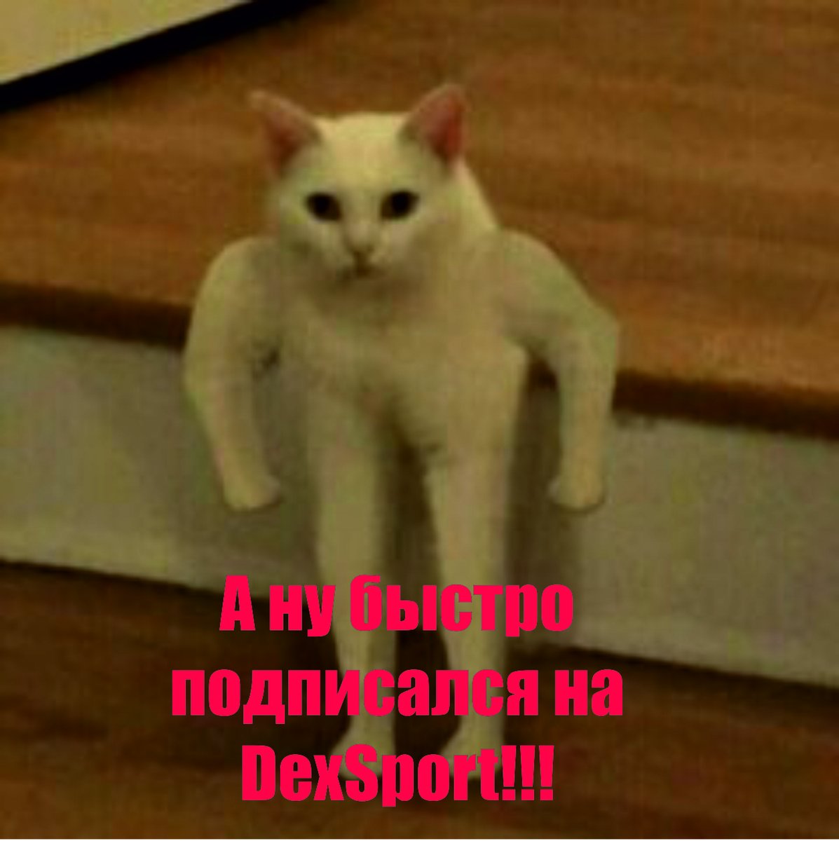 Ринат Ильясов tweet media