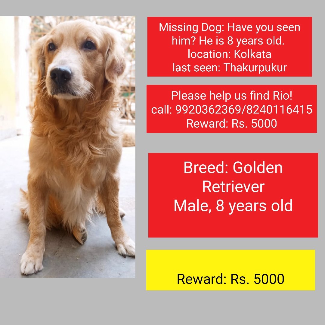 Update: Received cctv footage confirming that Rio was kidnapped. Last seen on Blue TVS  XL comfort wrapped up in a shawl on 5th Feb, 10.10 am at Thakurpukur. Pls help us find him <a href="/MamataOfficial/">Mamata Banerjee</a> <a href="/PetaIndia/">PETA India</a> <a href="/KolkataPolice/">Kolkata Police</a> <a href="/Zee24Ghanta/">zee24ghanta</a> <a href="/News18Bengali/">News18 Bangla</a> <a href="/abpanandatv/">ABP Ananda</a> #missingdogkolkata