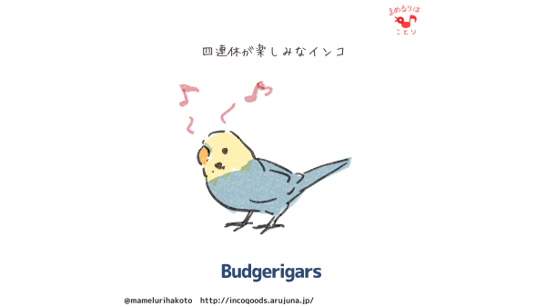 ゆるインコのtwitterイラスト検索結果