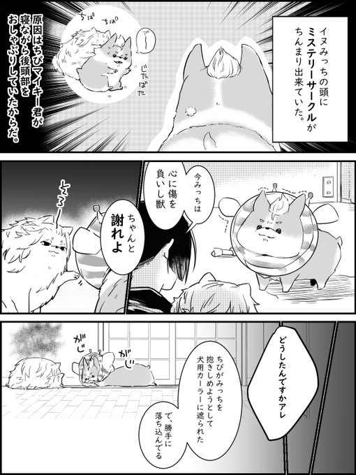 同棲軸マイ武さん家の🐶 