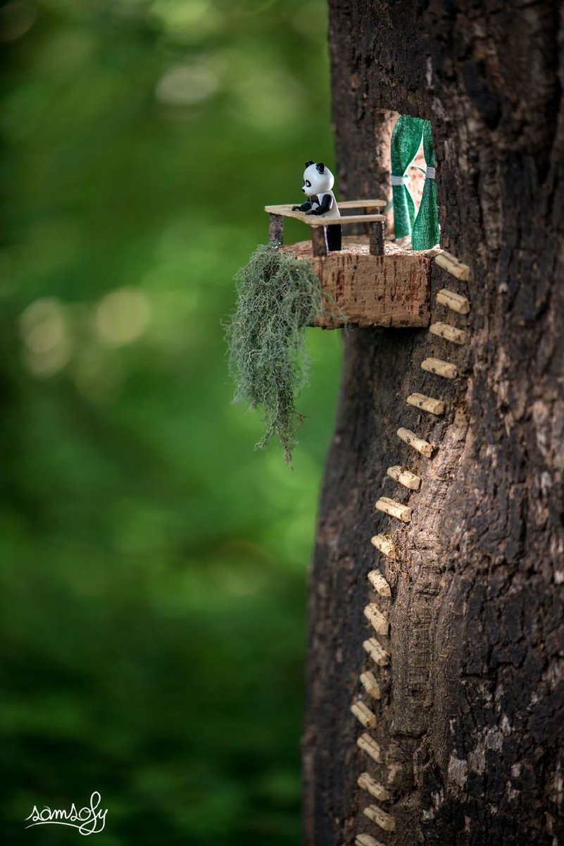 Amanda_Dehghan's tweet image. Life is not always to live, but the opportunity to do so is blessing beyound comprehension...
#GoodMorningEveryone 
#lesson5