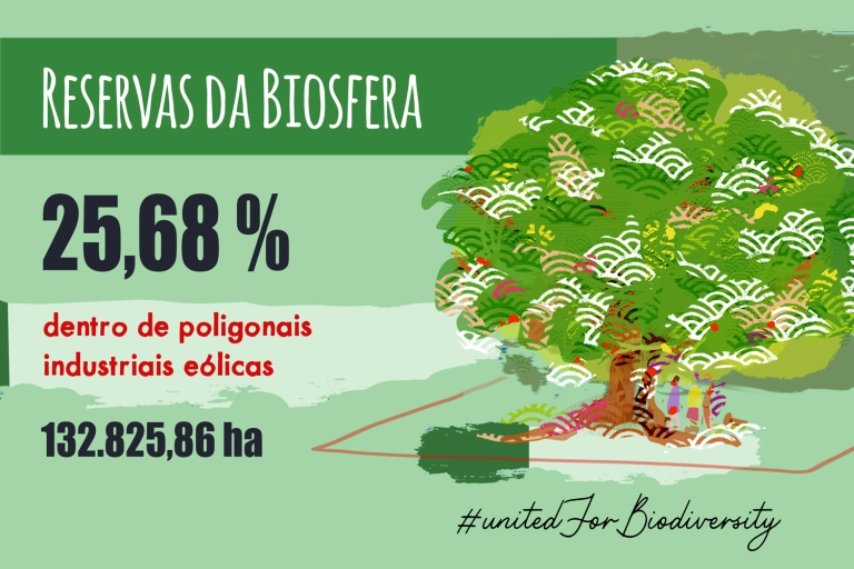 MandeoMarinas's tweet photo. Existen 701 #ReservasdeLaBiosfera en todo el planeta, 7 d ellas están en Galicia, #MacroeólicosGalicia calcula q quedan 1.942 aerogeneradores dentro, y el 25,68 % dentro de poligonales industriales.
#GaliciaLibredeMacroeólicos  #Unesco https://t.co/cgPnk7IklU