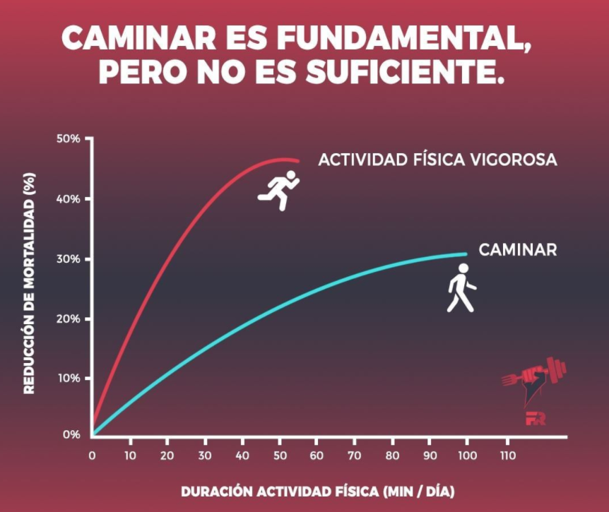 Marcos Vazquez - Fitness Revolucionario tweet media