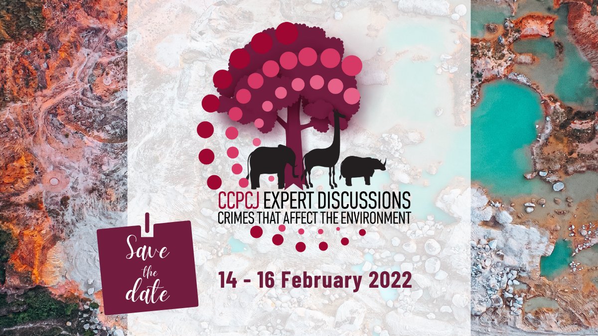 Crimes that affect the environment are among the most profitable crimes with manifold negative impacts. From 14-16 February, @CCPCJ Expert Discussions will focus on those crimes following up on the Kyoto Declaration @CrimeCongressUN. Learn more ➡️ bit.ly/338Ysyj