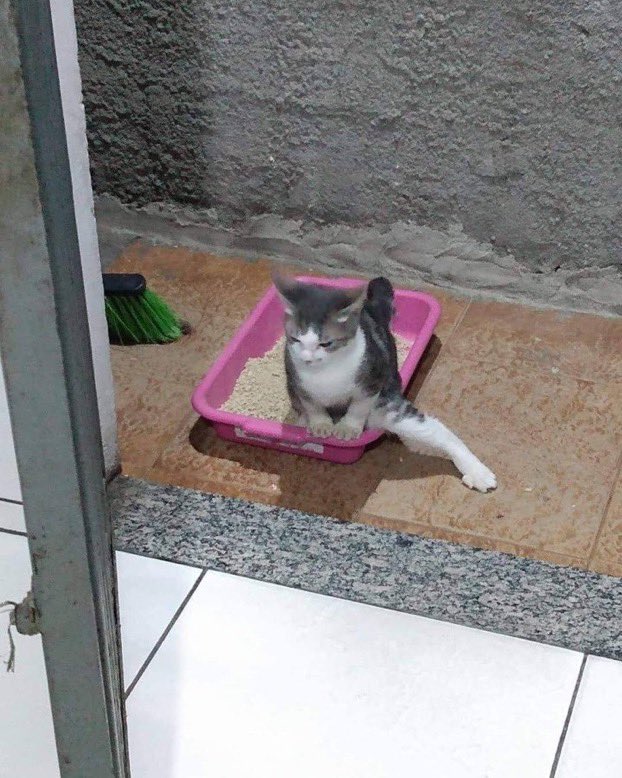 artlesscom's tweet image. i just finished my degree !! 🥳 time to spike the punch bowl 🎉🎉