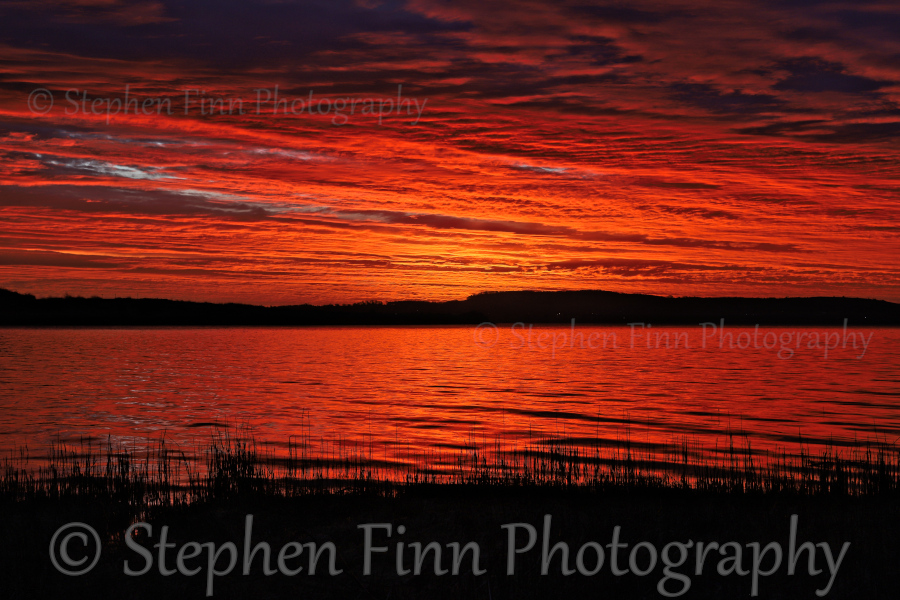 Stephen Finn Photography tweet media