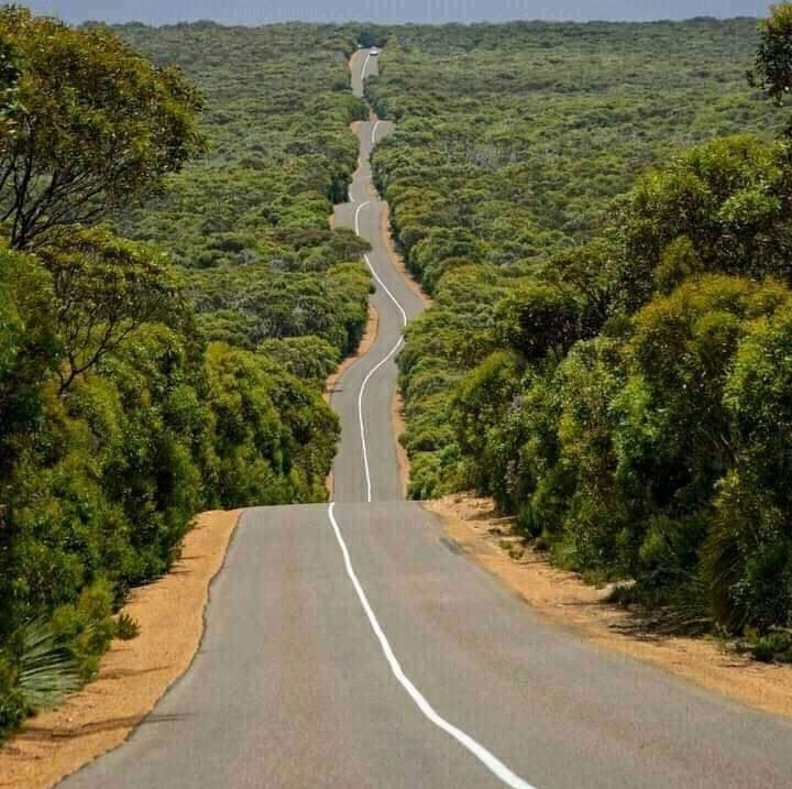 SamL17401277's tweet photo. Here is the road.. What are you driving...?? 👇 https://t.co/DiQsqztcSW