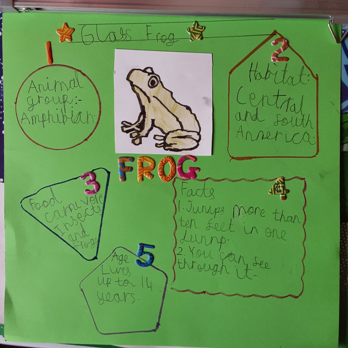BSMuscatY2's tweet image. Learning about Sir David Attenborough, who is an English broadcaster and a natural historian, Year 2 made their own posters after researching about different animals! Take a look at how fantastic and artistic they have been 😍🌟