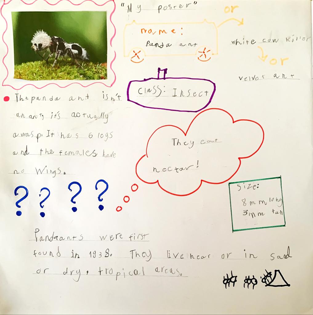 BSMuscatY2's tweet image. Learning about Sir David Attenborough, who is an English broadcaster and a natural historian, Year 2 made their own posters after researching about different animals! Take a look at how fantastic and artistic they have been 😍🌟