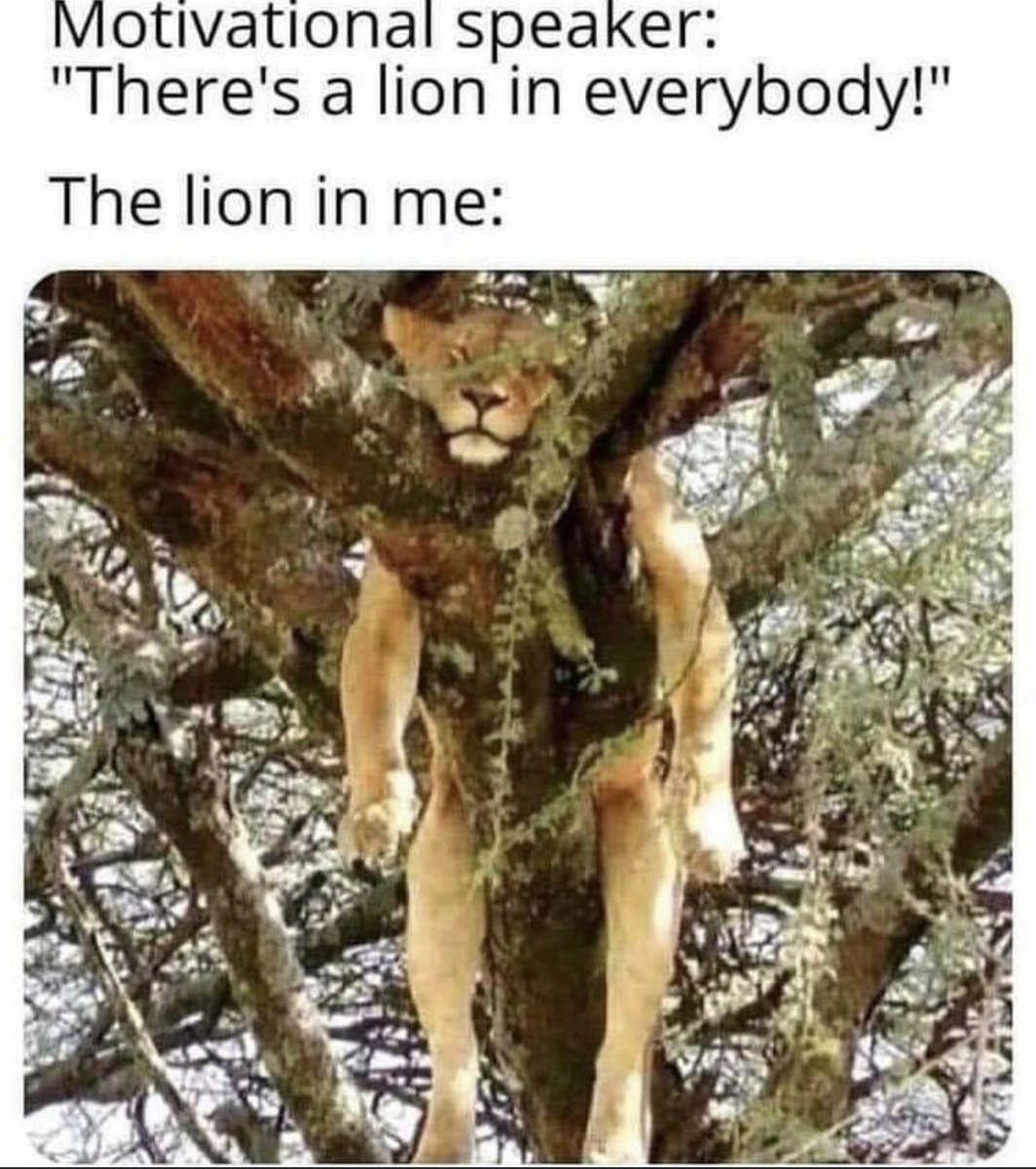 RespectfulMemes's tweet image. 