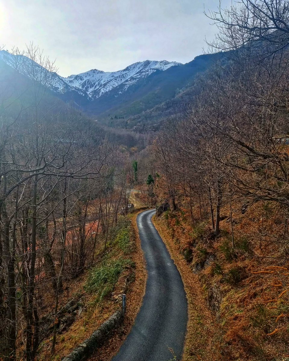 ricardrigall's tweet photo. Cap als Masos de Vallmanya, amb el Canigó de fons. #canigó #vallmanya #valmanya #conflent #bicicleta #gravel #hivern2022 https://t.co/jmPdrIsi3N
