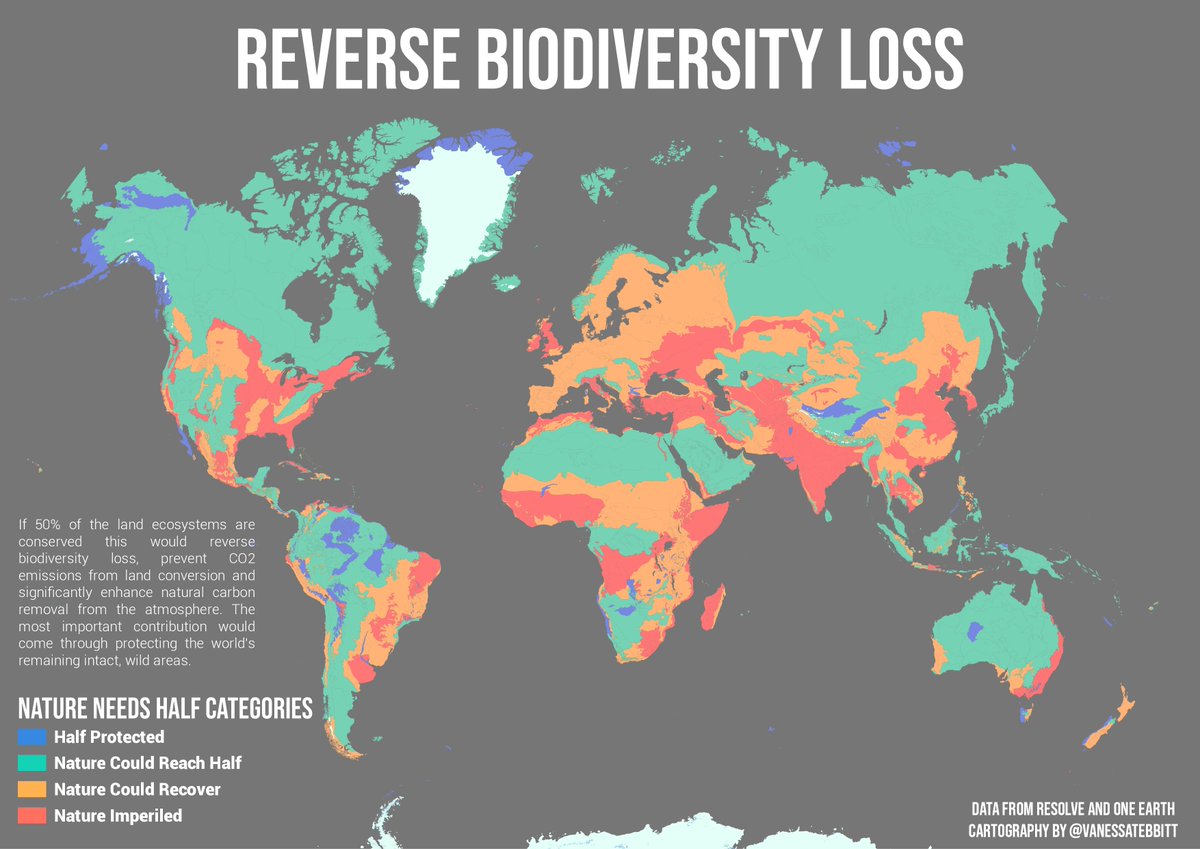 It's shocking to see how so much of the world requires conservation and restoration to reach half protected. The ecoregions in red will not be possible to achieve 50% protection. @NatureNeedsHalf Map made with @qgis and inspired by @GISLounge article #gischat #biodiversity #QGIS
