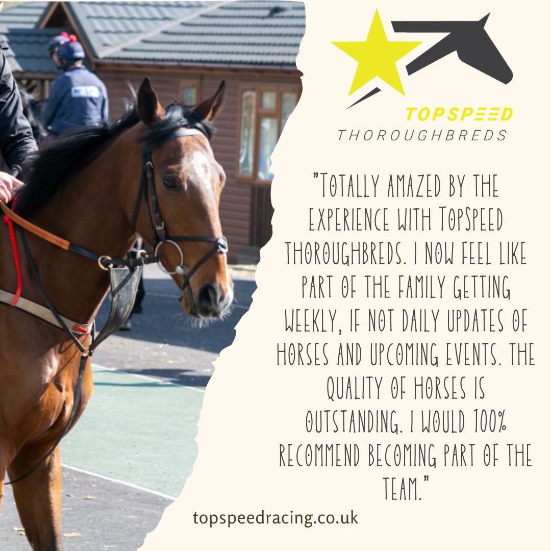 Racing_Clubs's tweet photo. The most important thing to the TopSpeed team is to ensure every member of our syndicate has the best experience they possibly can. 

We have 153 reviews on Trust Pilot with a rating of 4.9 out of 5 - here are just a few of those reviews we’ve received🏇🏼

https://t.co/OamA2sYDKT https://t.co/EmxBibMFGY