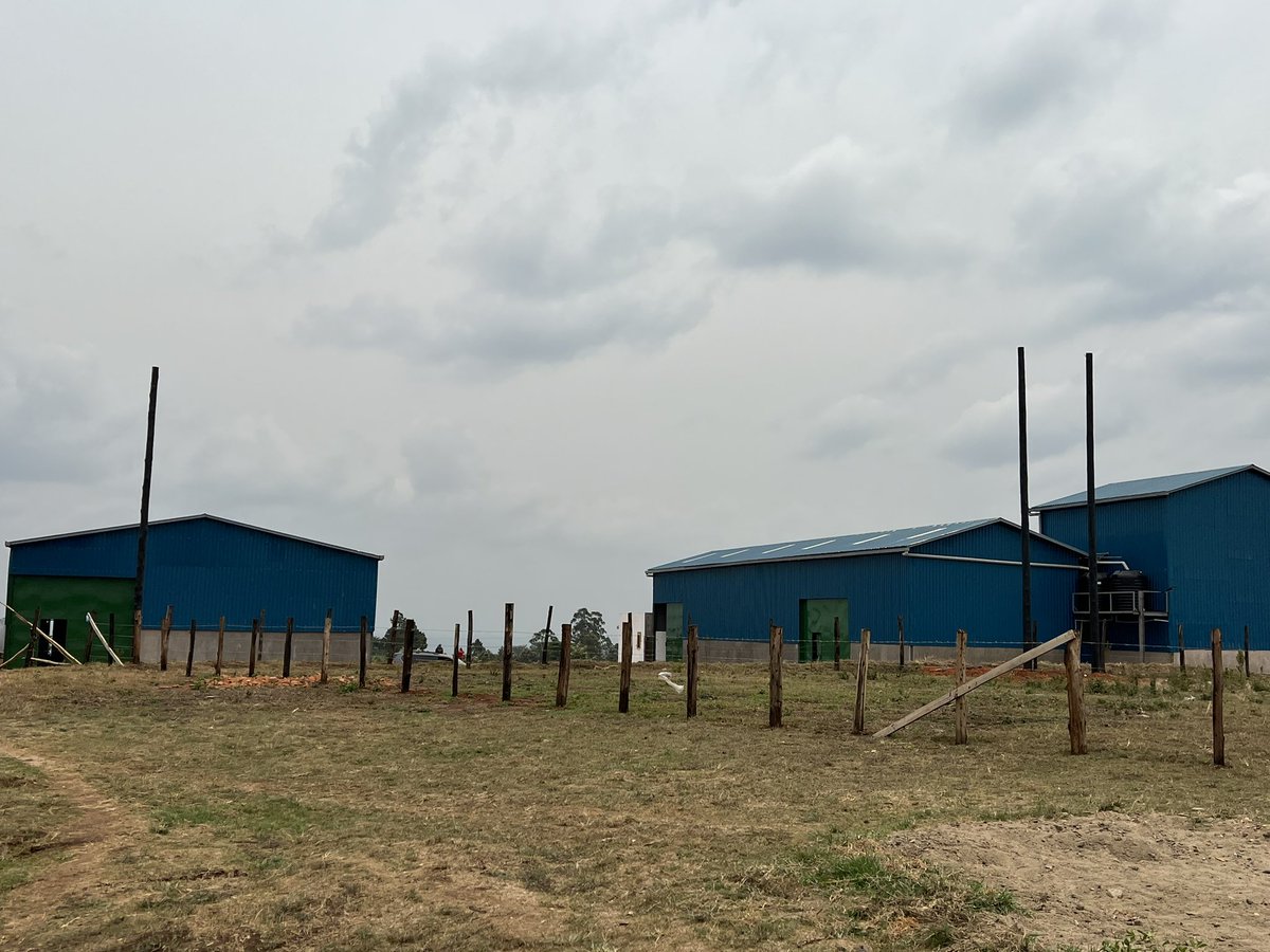 With investor Amb. Gen. Robert Rusoke in Tooro. Full Agric. Value chain happening here. Avocado nursery to avocado oil, grain processing. UIA will support in collaboration with <a href="/MAAIF_Uganda/">MAAIF 🇺🇬</a> <a href="/FrankTumwebazek/">Frank K Tumwebaze,MP: Isaiah 41: 11</a> <a href="/rggoobi/">Ramathan Ggoobi</a> <a href="/GCICUganda/">Government Citizen Interaction Centre</a> <a href="/Rwakakamba/">Rwakakamba Morrison</a> <a href="/mkainerugaba/">Muhoozi Kainerugaba</a> <a href="/UgandaMFA/">Ministry of Foreign Affairs - Uganda 🇺🇬</a> <a href="/RusokeAngel/">Angel Rusoke</a>