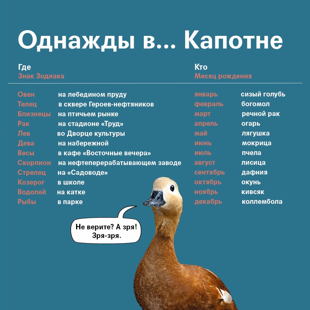 mosmuseum_'s tweet photo. У нас есть две выставки, в которых животные играют важную роль: «Москва без окраин. Капотня» и «Уберите чучело лисы». Смоделируем ситуацию: капотнинские животные встретились с животными из экспозиции «Уберите чучело лисы» — разумеется, в Капотне. Что они делали вместе? Узнаем👀 https://t.co/fPOtTKudwU