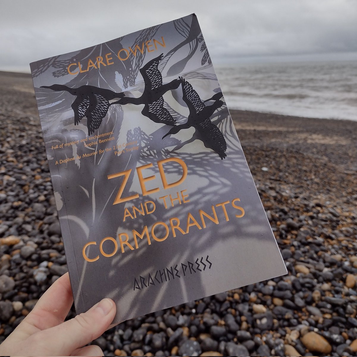 @bertsbooks #ZedAndTheCormorants by @clareowenwriter