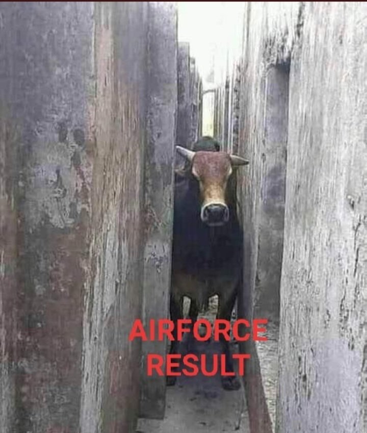 SamenderSingh4's tweet photo. #Airmenresult 
Now exam pattern has been changed.....
Phase 1 - Online Form
Phase 2 - Exam 
Phase 3 - Paper leak
Phase 4- Re-Exam 
Phase 5 - Protest 
Phase 6-  लाठी चार्ज
Phase -7 - Overage
Phase 8- Tera yaar Berojgaar
@DefenceMinIndia 
@PMOIndia 
@IAF_MCC 
@aajtak 
@ndtv https://t.co/AkHIkwG1u0