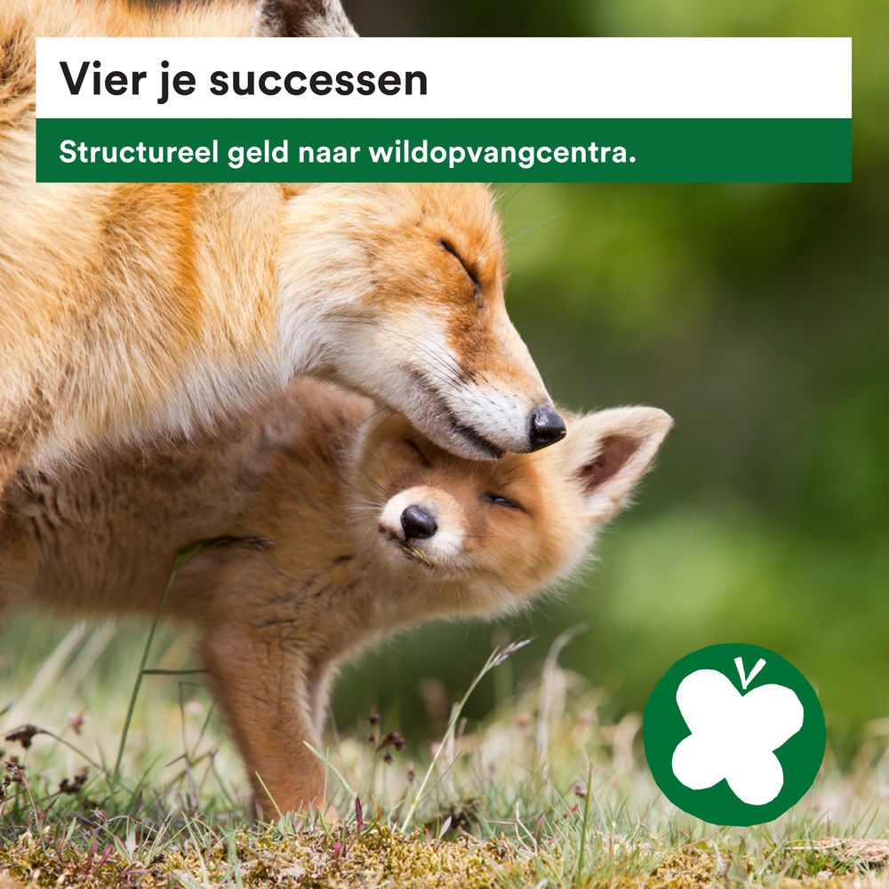 Een van onze grootste successen van het afgelopen. Een door ons ingediende motie om structureel geld te blijven geven aan wildopvangcentra in de regio. Door deze aangenomen motie zijn de wildopvangcentra in Delft en Den Haag verzekerd van financiële steun voor de komende jaren.