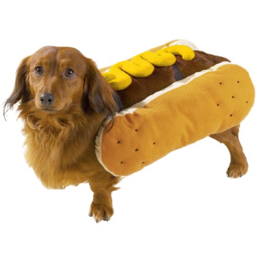 Casual Canine Hot Diggity Dog with Mustard Costume for Dogs, 14" Small/Medium order.sale/gYwf (via Amazon)