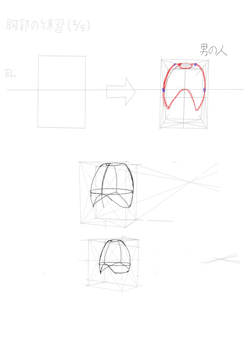 risukemolilith's tweet image. ＃イラスト　＃練習　
キムラッキさんの本を見て、胸郭の練習（男性）をしているのですが、あまりできていないような気がします…。