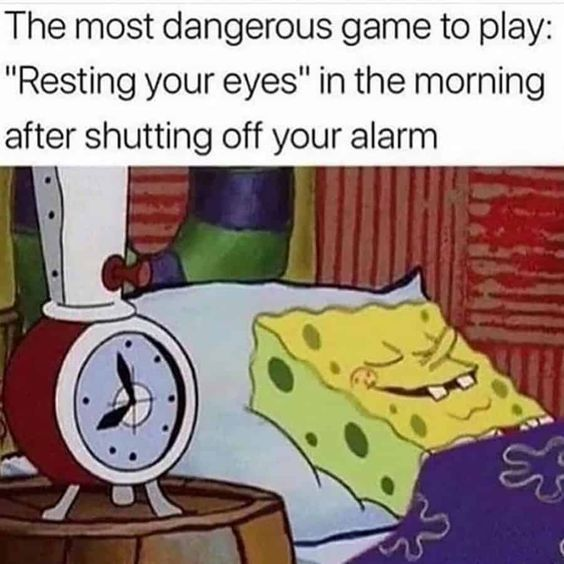 WholesomeMemes (@wholesomememe) on Twitter photo 