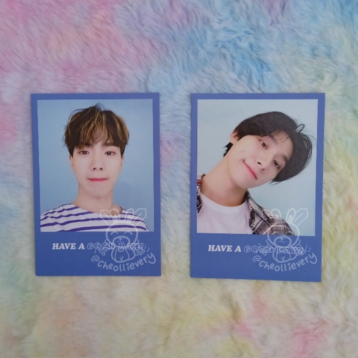 cheollievery's tweet photo. wts • lfb

monsta x sg2021 AR polaroid
- shownu, changkyun
- 180 both, 100 each if tingi.

•ᴗ• qrt or dm to mine! https://t.co/SpKmCyuxGu