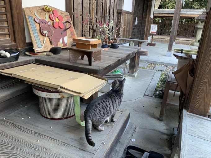 Spd27uv9orionocさんのイラストまとめ