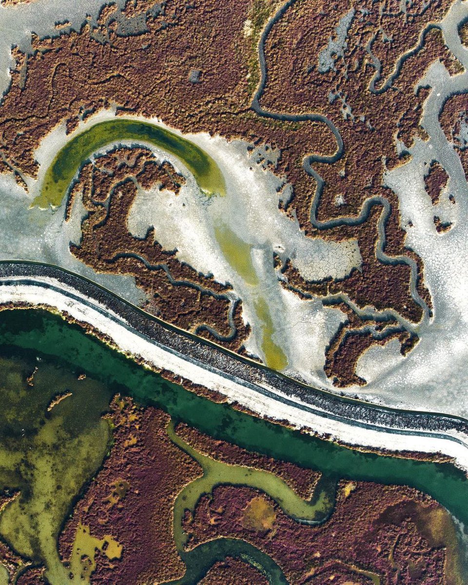SimonVenturini's tweet photo. #VENEZIA • Le barene della nostra laguna!

Viste dall'alto diventano dei bellissimi quadri che la #natura ci regala. 

Stupendi scatti di "#Delzo", che ci mostra ancora una volta quanto può essere straordinario il nostro territorio.

Buon #sabato a tutti!

IG: @Delzo https://t.co/m9WTLwuUms
