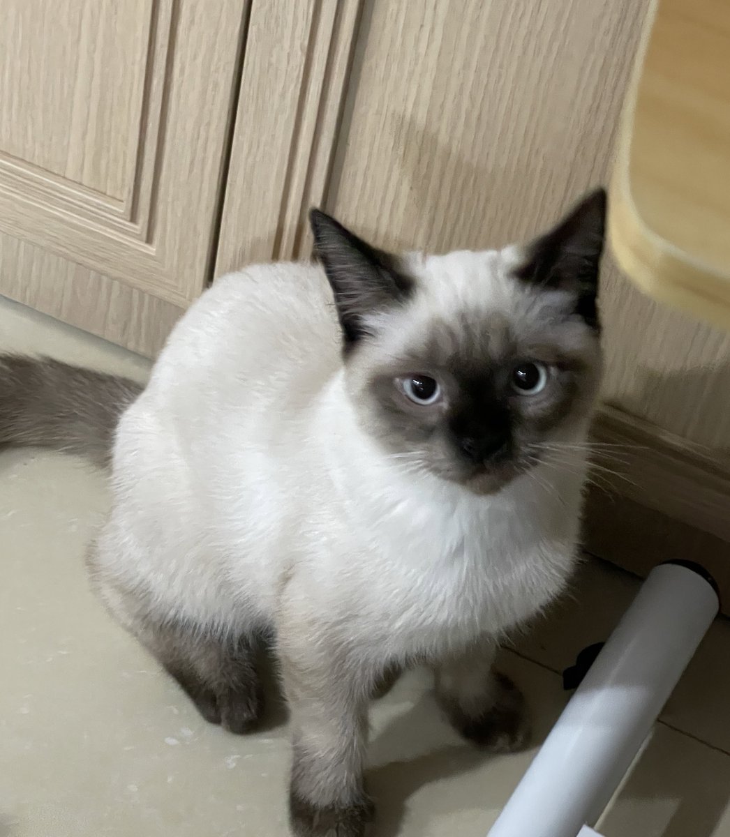 เอายัยคับ