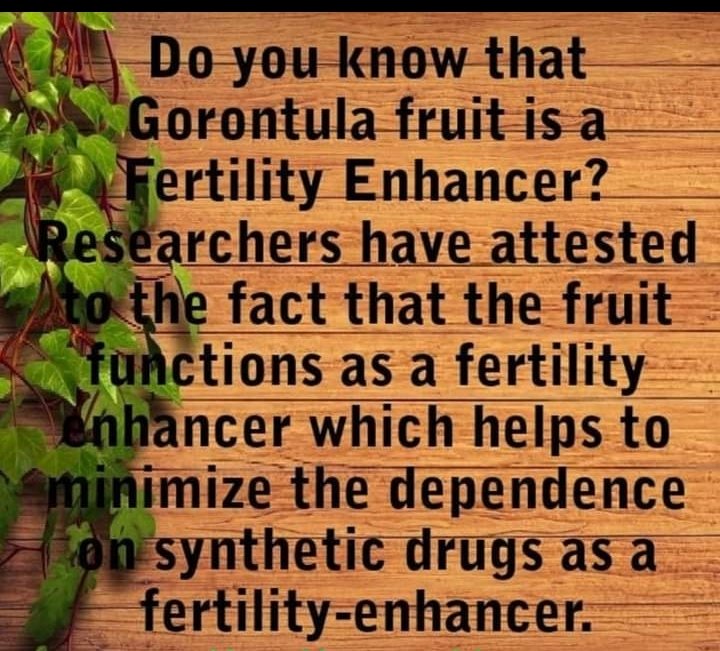 itunuoluwa_aaa's tweet image. 101 fact about goron tula. what is stopping you from buying this amazing products? Money? It's 2k delivery fee? Don't worry you can pick up at your nearest bus stop. 

Taooma #asuu Tiwa #revolutionplusproperty Abba Kyari 2012 Benz Ororo