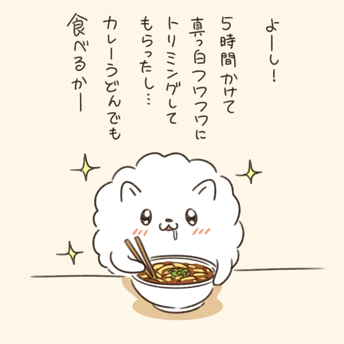 無茶な事をしたがるポメラニアン 