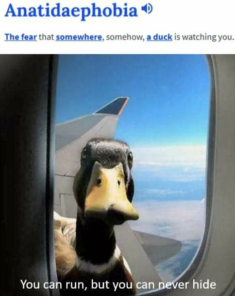 WholesomeMemes (@wholesomememe) on Twitter photo 