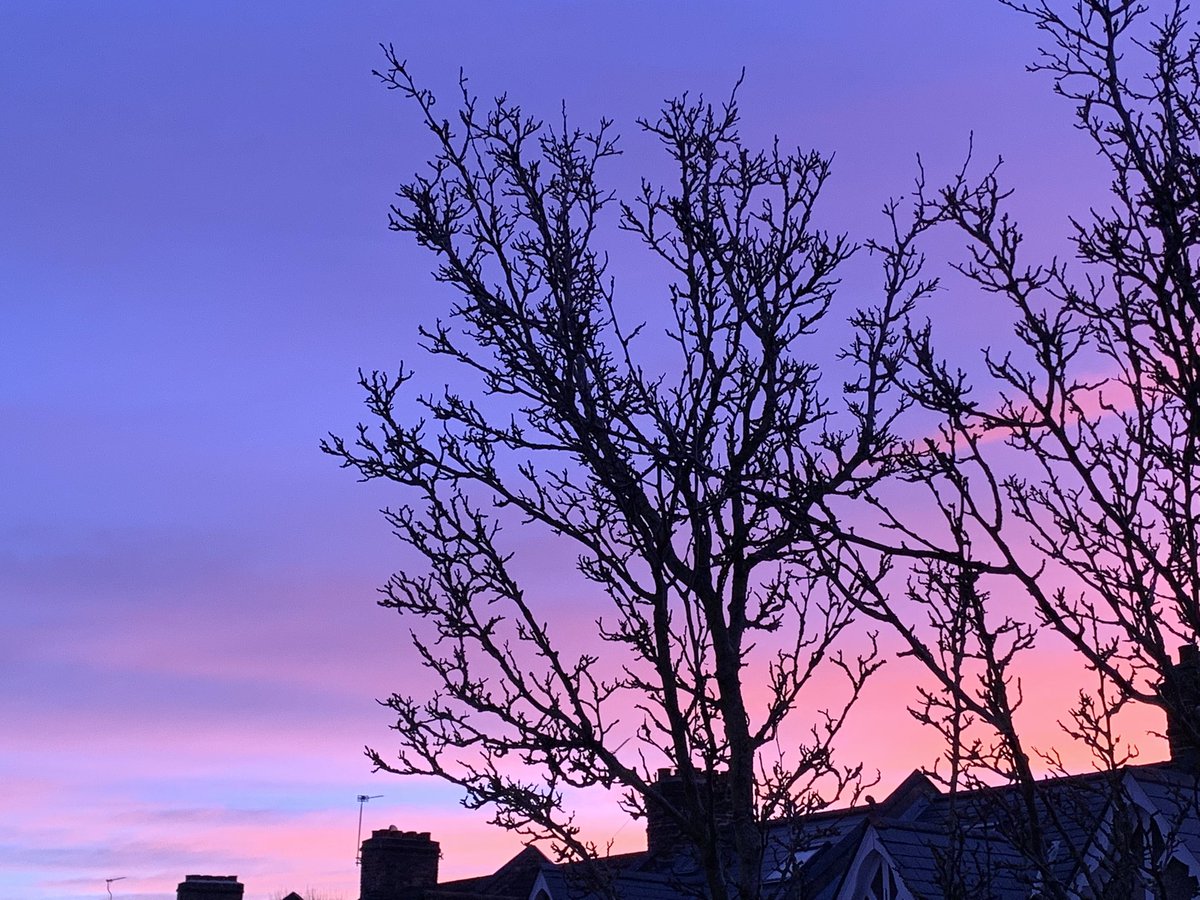「いま、ピンクと紫の朝焼け。とてもキレイ。#ロンドン散歩 」|𝖸𝗈 𝖮𝗄𝖺𝖽𝖺のイラスト