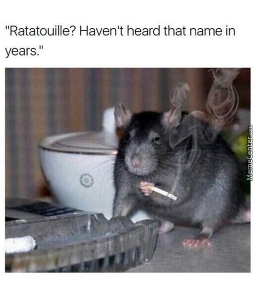 WholesomeMeme's tweet photo. https://t.co/51MwU3FpRa