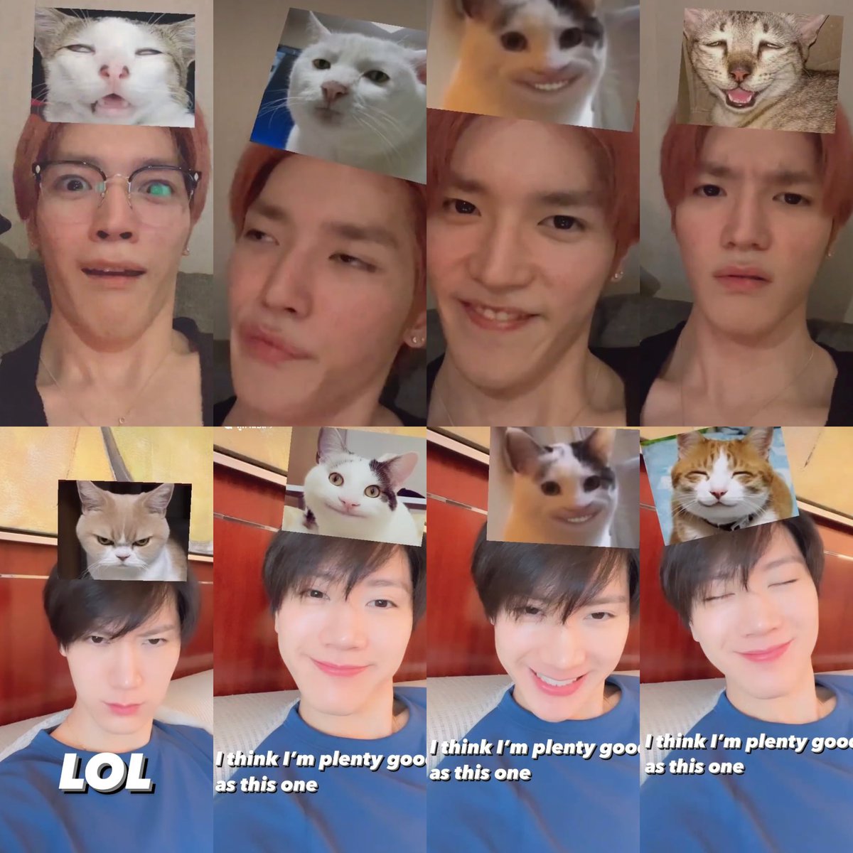 𝑰𝒃𝒆𝒃𝑼 🐾 tweet media
