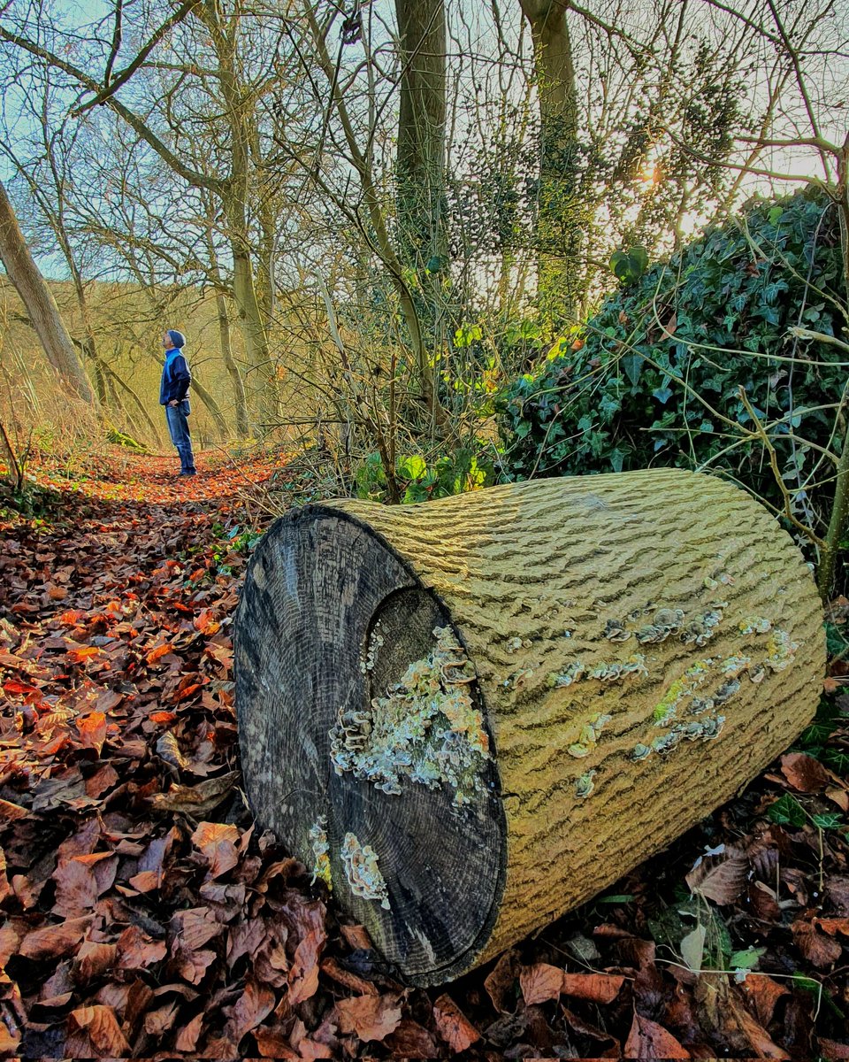 educatinggeeta's tweet photo. A couple of 📸 frm last wkend's #chilterns walk @ChilternsAONB There are 2 walks in Feb~details in blog: https://t.co/90Evf70OCF
 The 27th Feb is approx 13 miles and inc #theRidgeway into #WatlingtonHill &amp; a coffee break in #christmascommon  #connectingwithnature #natureheals 🌿 https://t.co/R9ihfQJh1s