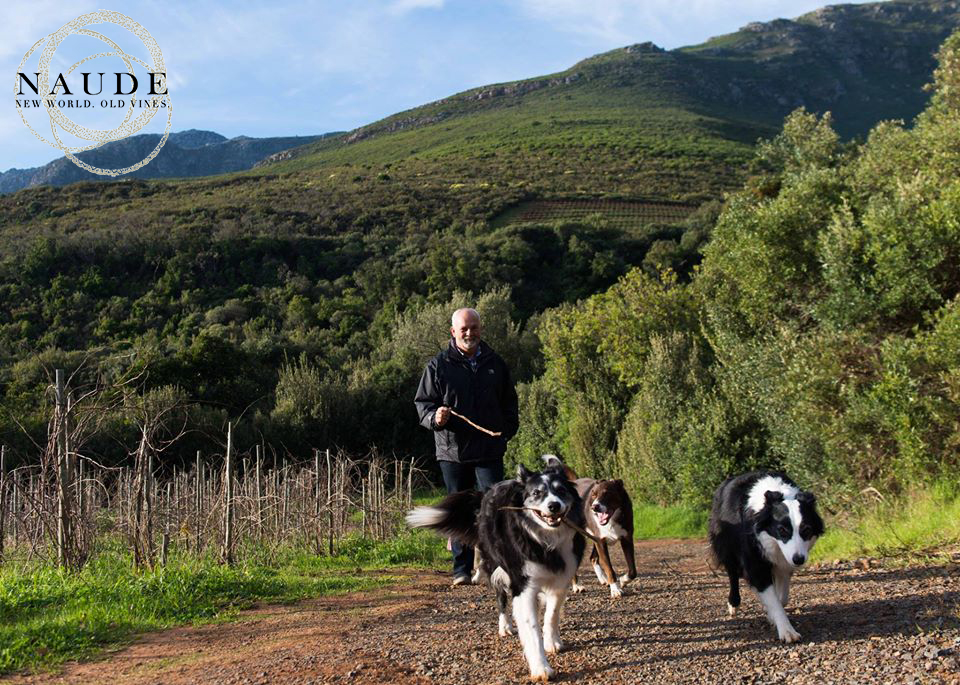 A warm welcome to new CBA member @IanNaude of @NaudeWines  
An exciting year is ahead and also looking forward to a number of great #chenin events! 
#DrinkChenin #oldvines #cbic2022