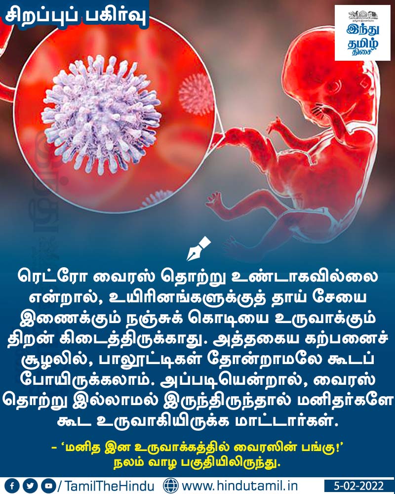 TamilTheHindu's tweet photo. வாசிக்க > மனித இன உருவாக்கத்தில் வைரஸின் பங்கு! https://t.co/Q1gZbXVFFC

#Virus | #Health | #throwbackHTT https://t.co/RzIZdwbC3w