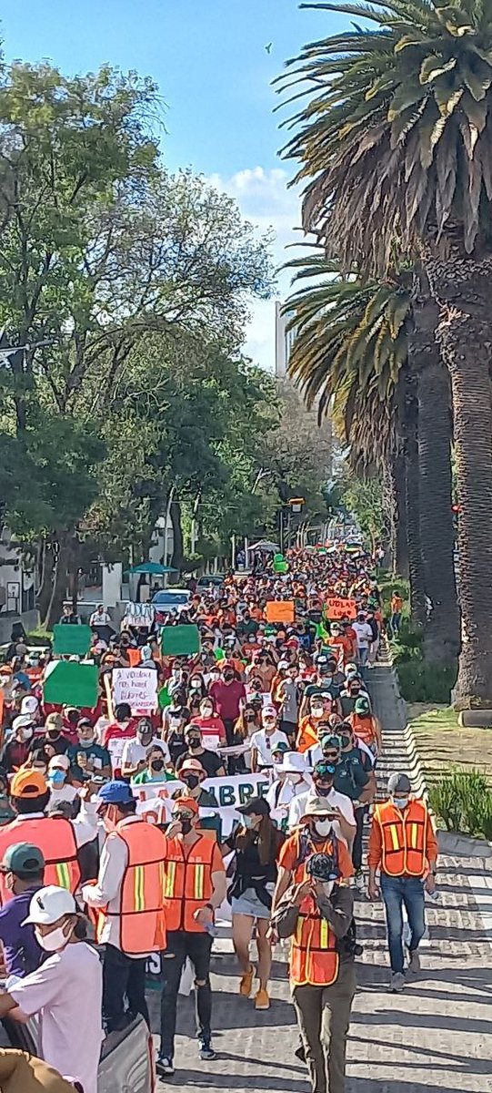 AExaudla1997's tweet photo. Hoy despertó el Gigante! @MBarbosaMX no entiende que la famosa junta para el bla-bla-bla está haciendo todo menos proteger a los estudiantes!La #UDLAPLibre no acepta un patronato impuesto y menos por la fuerza de las armas!
@PadresUdlap
@FuerzaUdlap
@todossomosudlap
@Nancydelasa https://t.co/tvOzJX3zxo