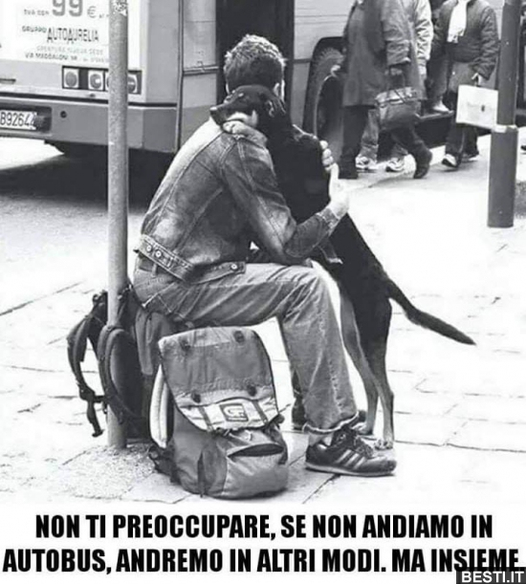 tuccio (@tuccituccio) on Twitter photo 